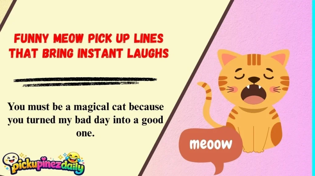 Funny Meow Pick Up Lines That Bring Instant Laughs