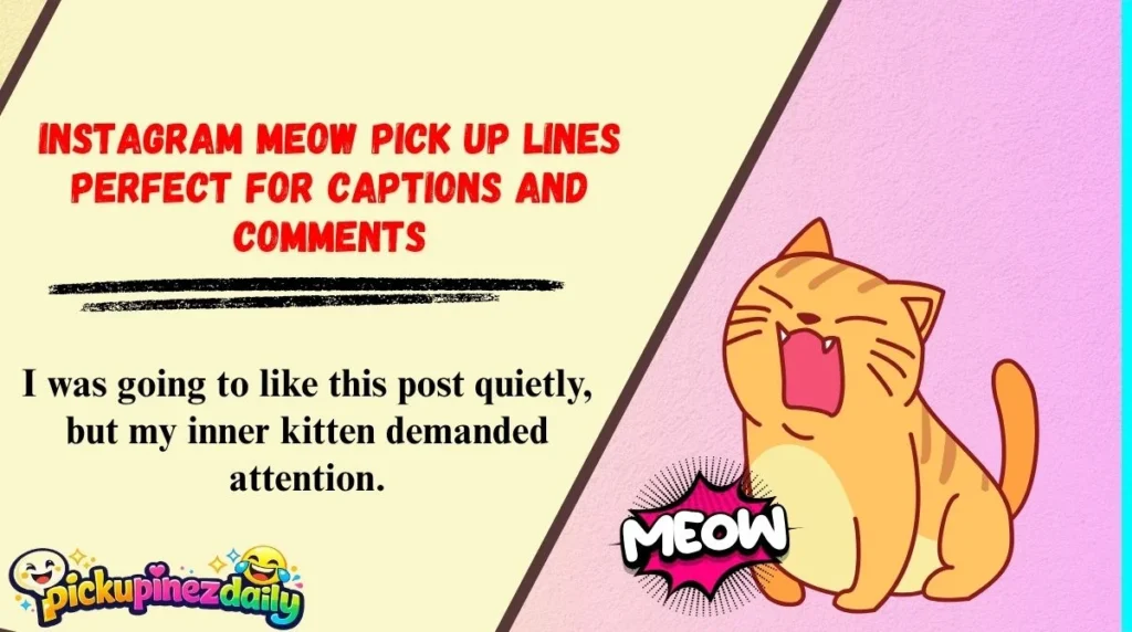 Instagram Meow Pick Up Lines Perfect For Captions And Comments