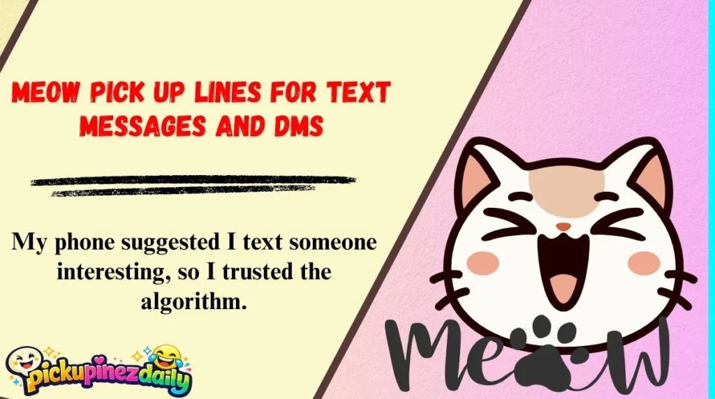 Meow Pick Up Lines For Text Messages And DMs