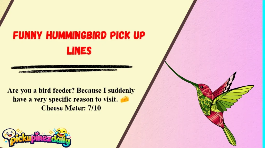 Funny Hummingbird Pick Up Lines
