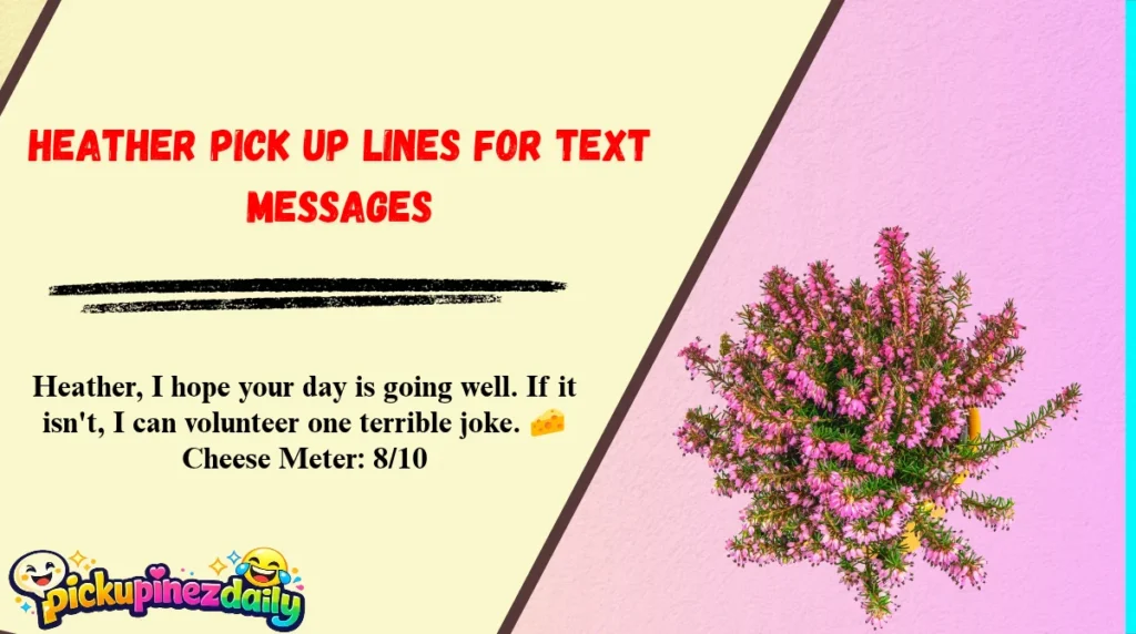 Heather Pick Up Lines for Text Messages