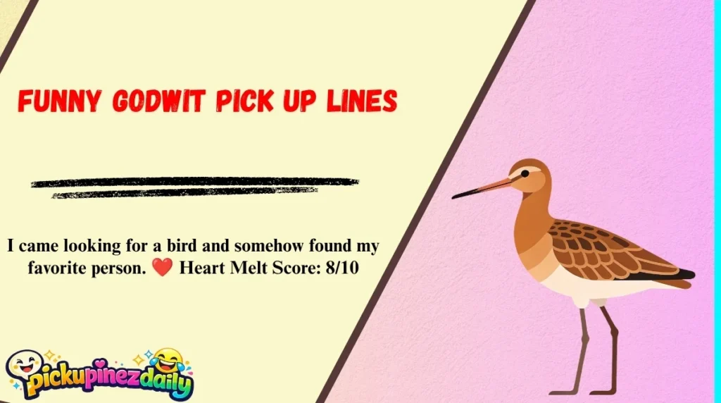 Funny Godwit Pick Up Lines