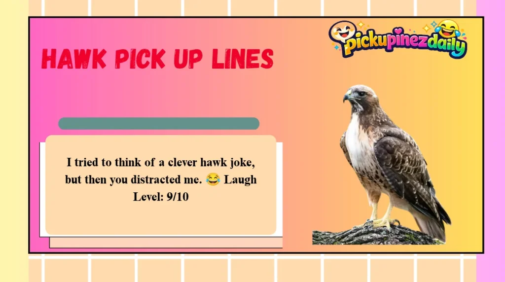 Hawk Pick Up Lines