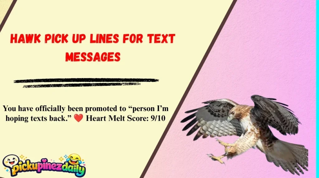 Hawk Pick Up Lines for Text Messages